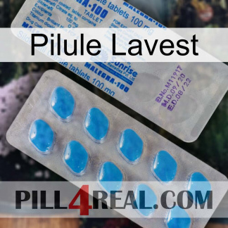 Lavest Pill new15